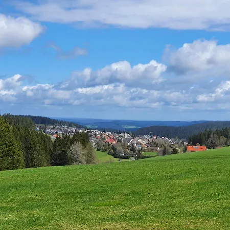 Ferienhaus-schoenwald Im Herzen Des Schwarzwalds 2zimmer-wohnung+balkon App10 Apartman Schönwalde