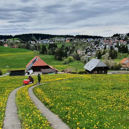 Ferienhaus-schoenwald Im Herzen Des Schwarzwalds 2zimmer-wohnung+balkon App10 Apartamento