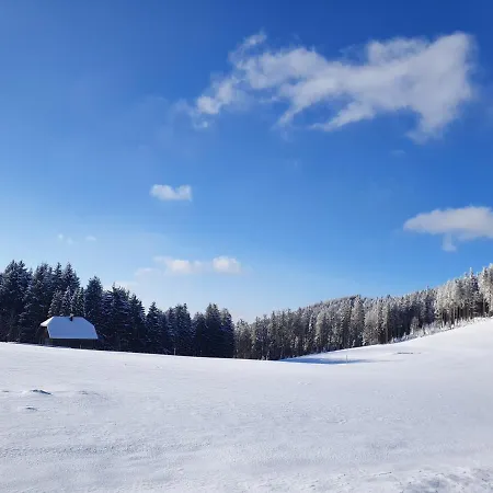 Ferienhaus-schoenwald Im Herzen Des Schwarzwalds 2zimmer-wohnung+balkon App10