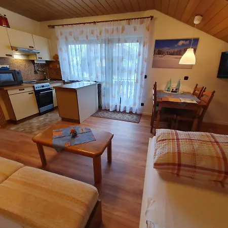 Ferienhaus-schoenwald Im Herzen Des Schwarzwalds 2zimmer-wohnung+balkon App10