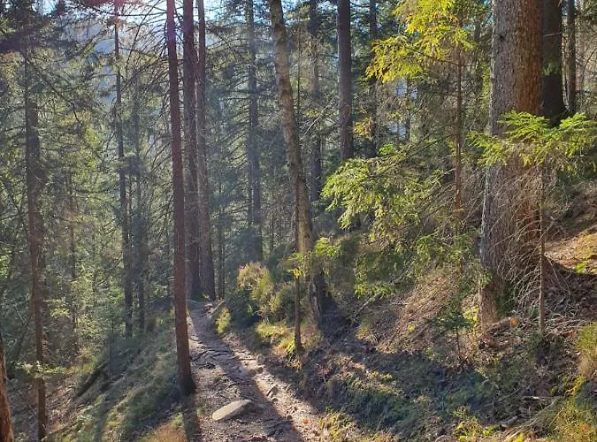 Ferienhaus-schoenwald Im Herzen Des Schwarzwalds 2zimmer-wohnung+balkon App10 Schönwalde
